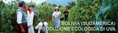 grande bolivia